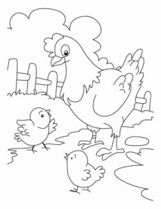 2.Gambar Mewarnai Ayam