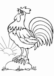 3.Gambar Mewarnai Ayam