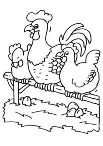 6.Gambar Mewarnai Ayam