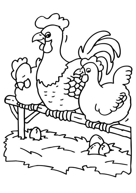 √ Gambar Mewarnai Ayam Untuk Anak TK,SD dan PAUD