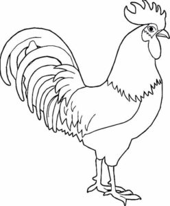 9.Gambar Mewarnai Ayam