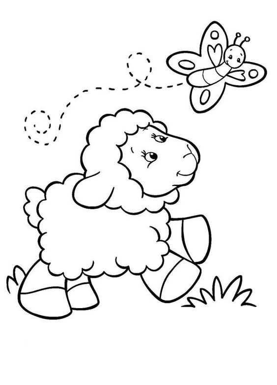  Gambar  Mewarnai  Domba Untuk  Anak Tk Paud dan SD