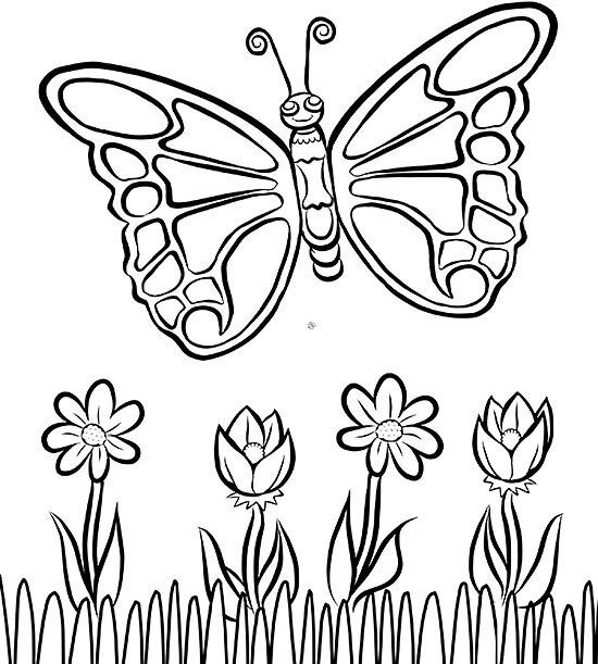 Gambar Mewarnai Kupu-kupu Lucu Untuk Anak-anak