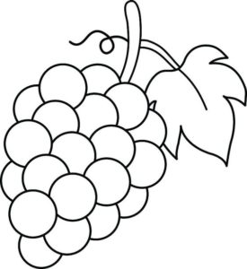 3.Gambar Mewarnai Buah Anggur