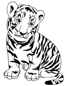 5.Gambar Mewarnai Harimau