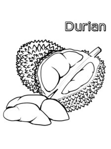 2.Gambar Mewarnai Buah Durian