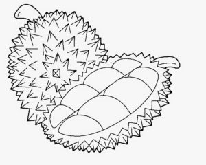 6.Gambar Mewarnai Buah Durian