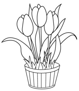 3.Gambar Mewarnai Bunga Tulip