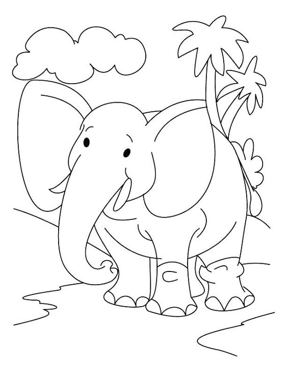 Mewarnai Gajah - 13 Sketsa Gambar Gajah Terbaik Dan Terlengkap - Tebak Kata