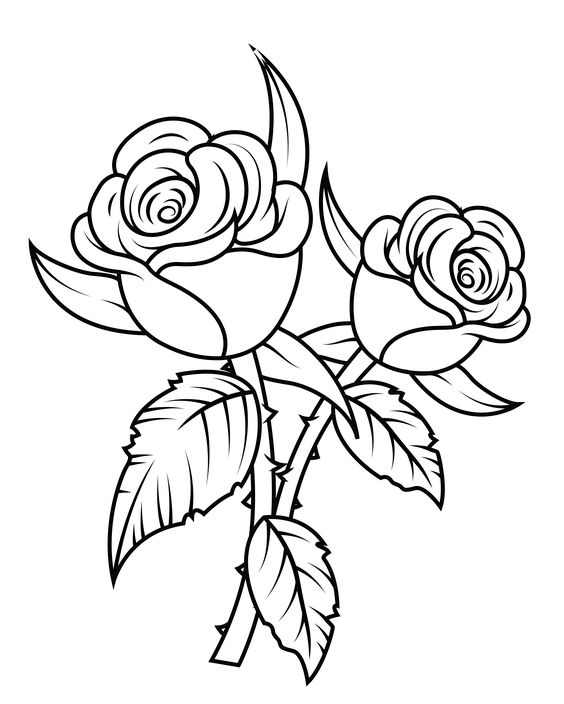 5.Gambar Mewarnai Bunga Mawar