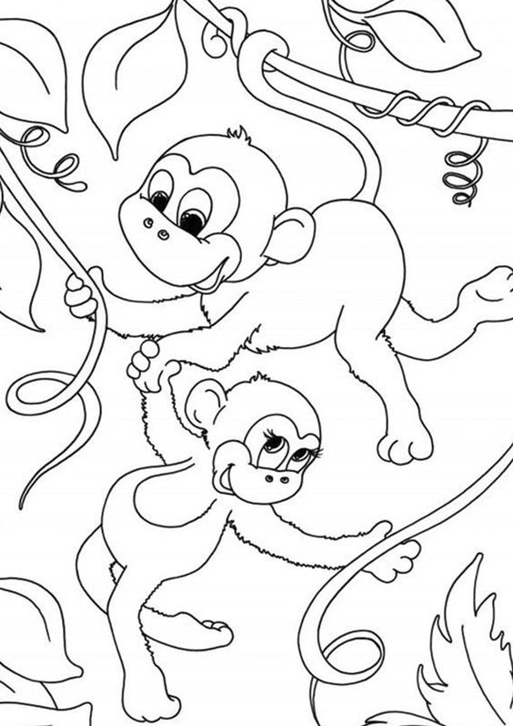 1.Gambar Mewarnai Monyet
