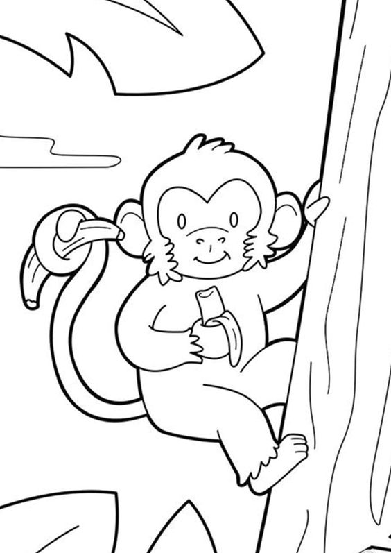 10.Gambar Mewarnai Monyet