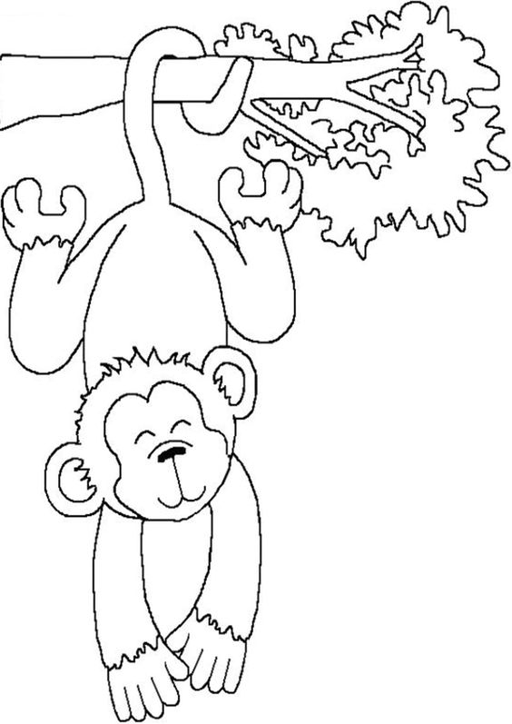 11.Gambar Mewarnai Monyet