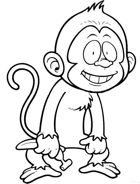 12.Gambar Mewarnai Monyet