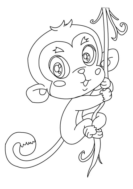 13.Gambar Mewarnai Monyet