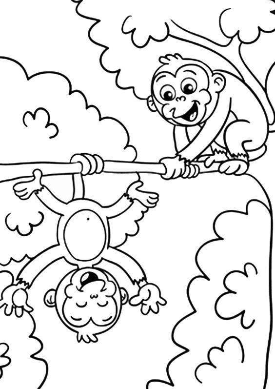 9.Gambar Mewarnai Monyet